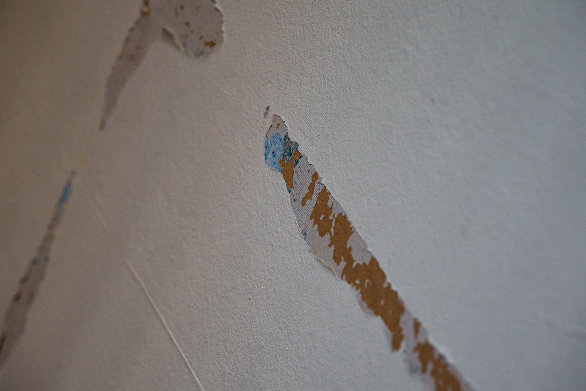 Flood Cleanup service in Rockville, MD